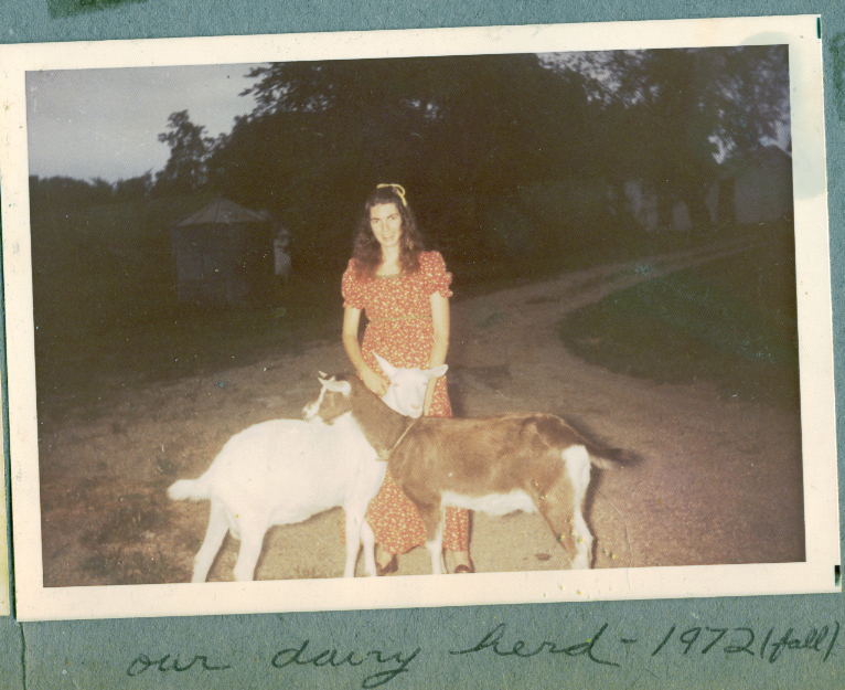 Amy and dairy goats