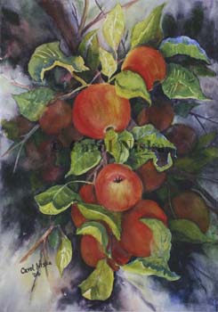 bumper crop