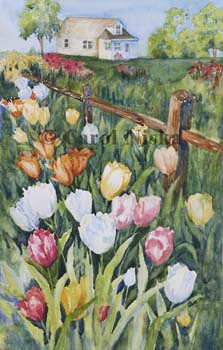 tulip time