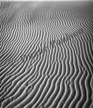 st anthony dunes
