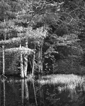 reflections