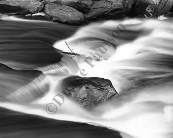 sturgeon_river