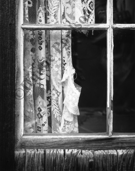 lace curtain