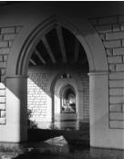 bridge of hope