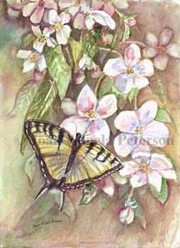 butterfly