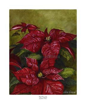 red poinsettia