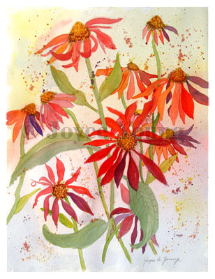 red flowers