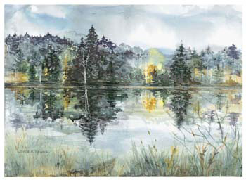 shingobee reflections