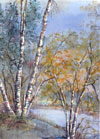 birch beauty