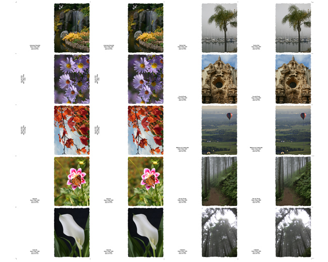Sheet of Note Cards