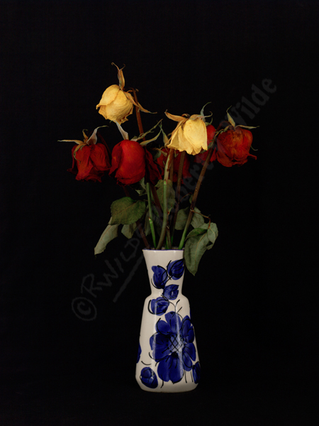 Red, Yellow and Blue