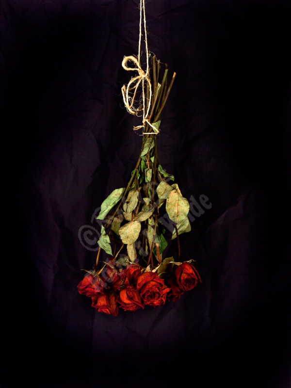 Sally Go Round the Roses