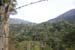 mexican jungle