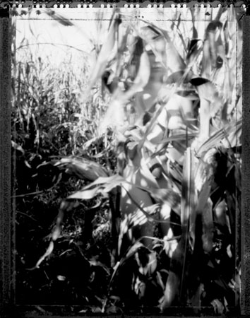 corn