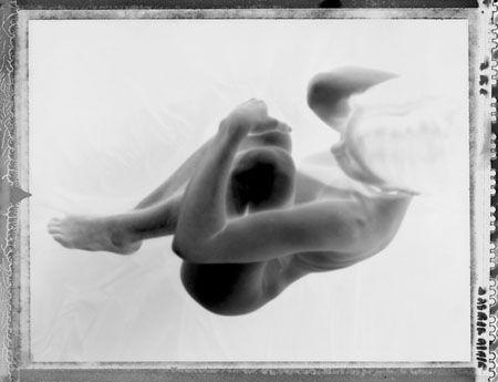 embryo