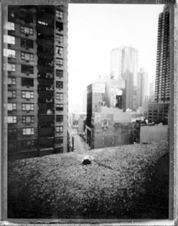w55th