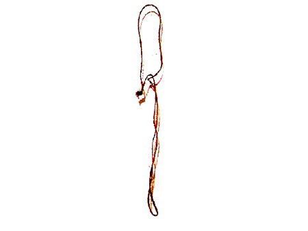 head 5
