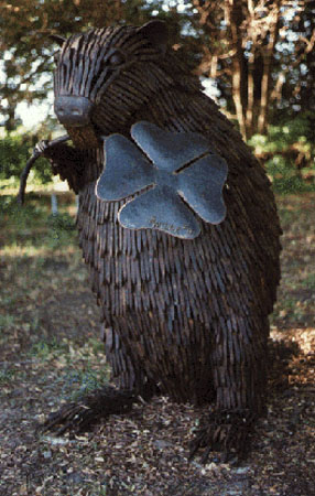 beaver