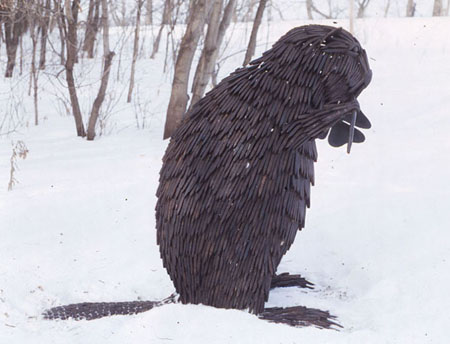 beaver